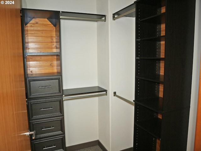 view of walk in closet