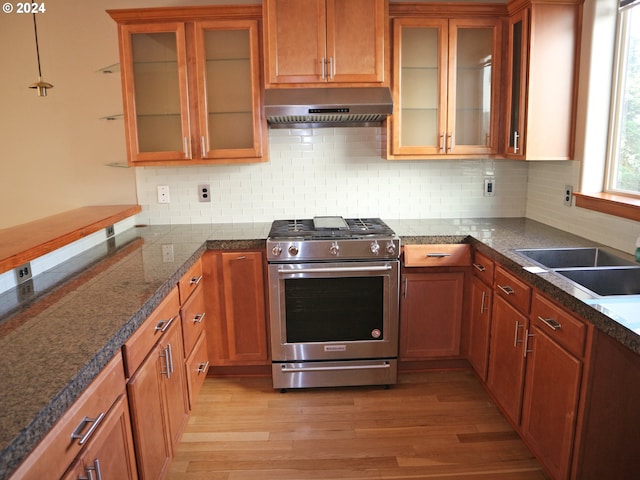 kitchen with light hardwood / wood-style floors, high end stove, backsplash, and range hood