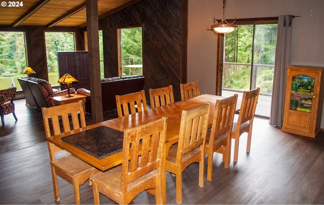 dining area with plenty of natural light, dark hardwood / wood-style floors, and wooden ceiling