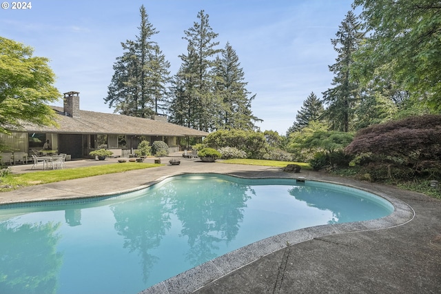 view of pool featuring a patio