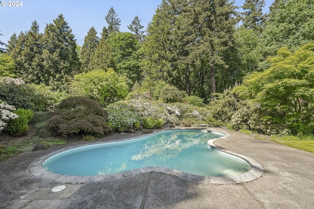 view of swimming pool with a diving board and a patio