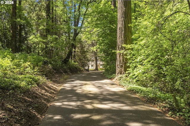 view of road with aphalt driveway and a wooded view