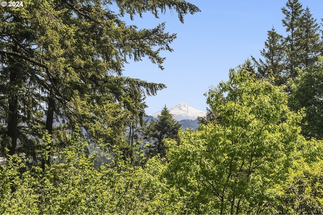 view of local wilderness featuring a mountain view