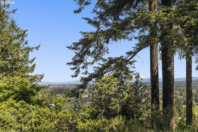 exterior space featuring a mountain view and a wooded view