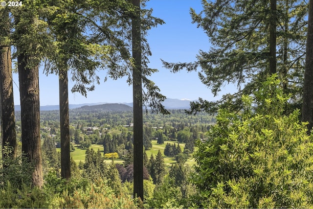 property view of mountains featuring a wooded view