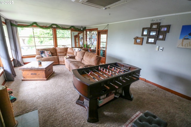 playroom with crown molding and carpet floors