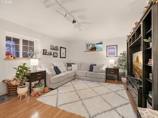 living room featuring hardwood / wood-style flooring and rail lighting