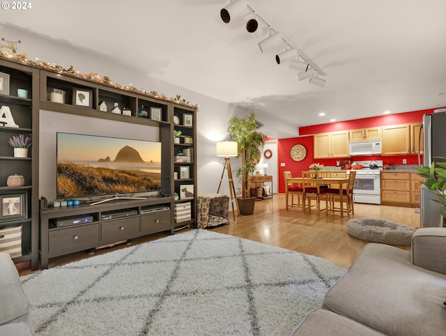 living room with light hardwood / wood-style flooring and track lighting