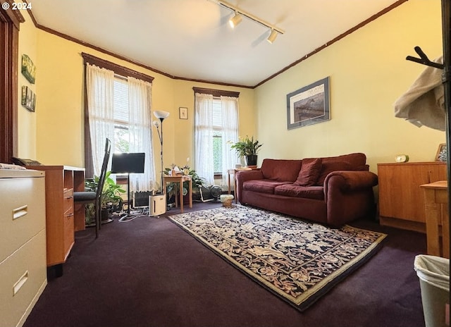 carpeted living room featuring crown molding and rail lighting