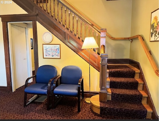 stairway featuring carpet flooring