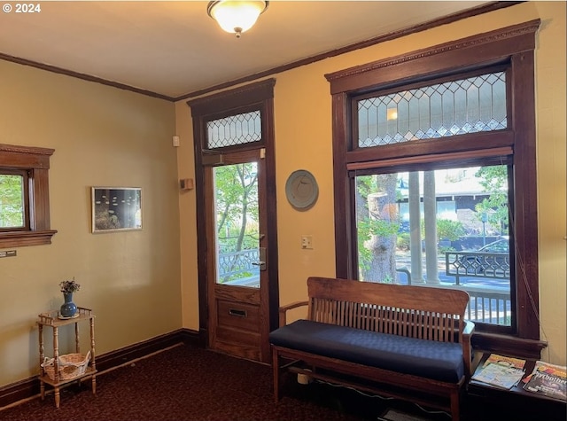 interior space featuring carpet floors, plenty of natural light, and crown molding