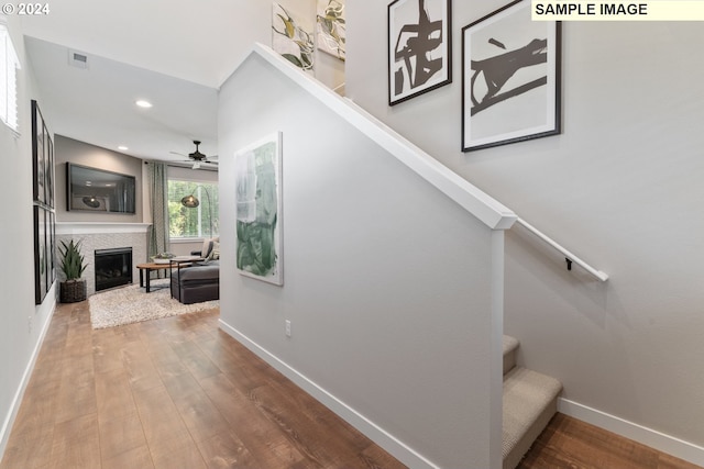 staircase featuring ceiling fan and wood-type flooring