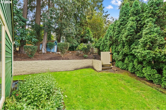 view of yard with a storage shed