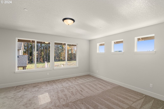 empty room with a wealth of natural light, light carpet, a textured ceiling, and baseboards