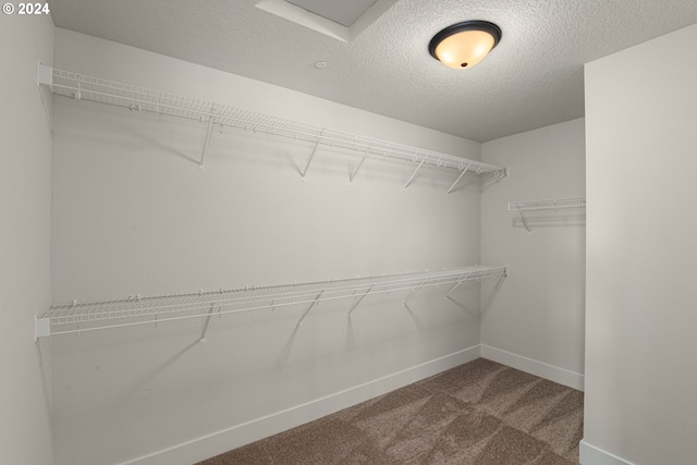 walk in closet featuring carpet