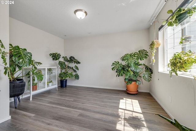 sitting room featuring wood-type flooring and plenty of natural light