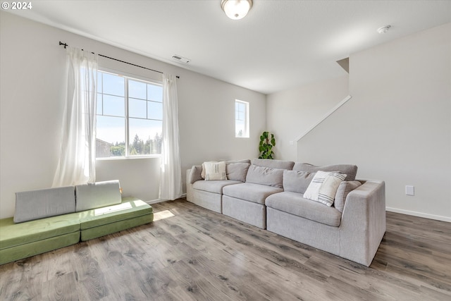 living room featuring a healthy amount of sunlight and wood-type flooring