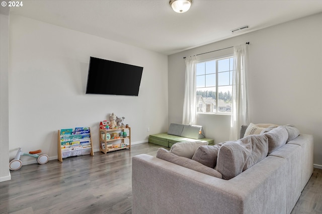 living room with wood-type flooring