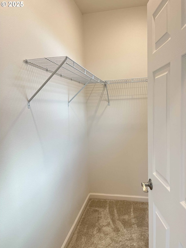 spacious closet with carpet flooring