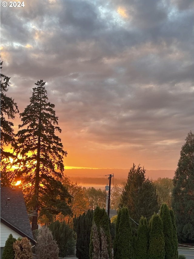 view of nature at dusk