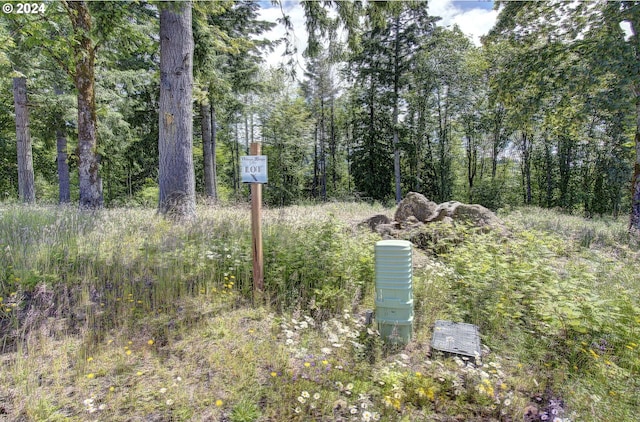 0 Olivia Ln Unit X, Kalama WA, 98625 land for sale