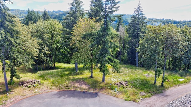 Listing photo 2 for 0 Olivia Ln Unit X, Kalama WA 98625