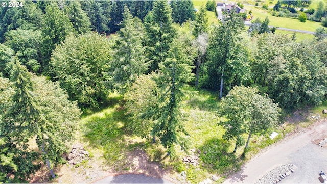 0 Olivia Ln Unit X, Kalama, WA 98625
