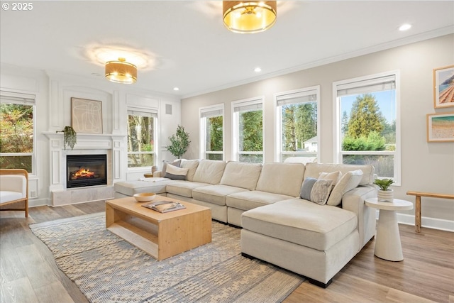 living room featuring a tile fireplace, ornamental molding, and hardwood / wood-style flooring