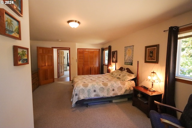 bedroom featuring carpet and a closet