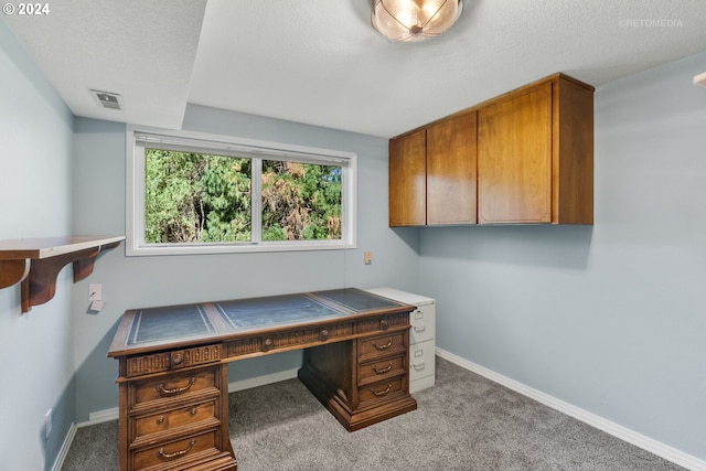 carpeted office space with a textured ceiling