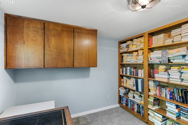 interior space with carpet and a textured ceiling