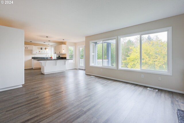 unfurnished living room with sink and dark wood-type flooring