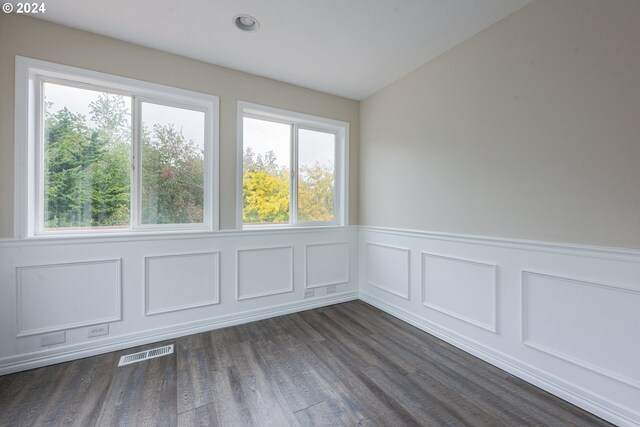 spare room featuring lofted ceiling, dark wood-type flooring, and plenty of natural light