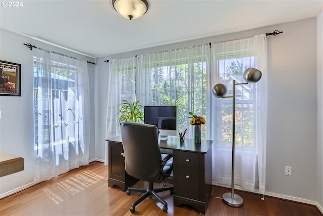 office space featuring hardwood / wood-style floors and plenty of natural light