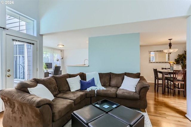 living room with a wealth of natural light and wood-type flooring