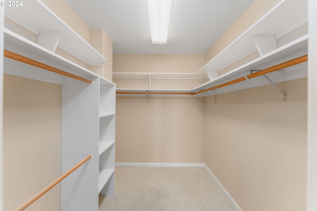 walk in closet with light colored carpet