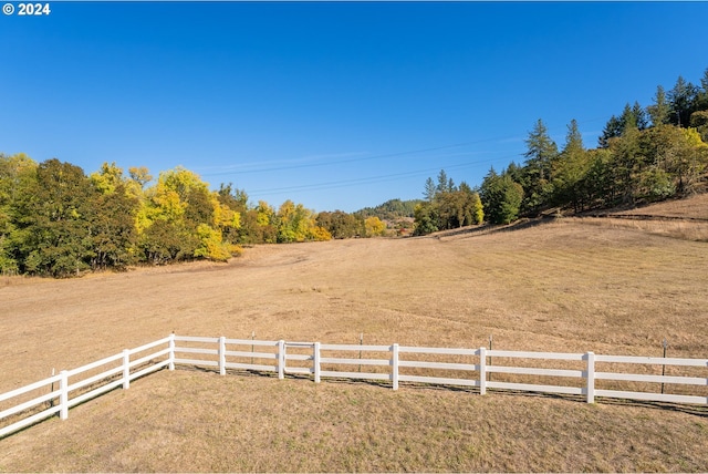 view of yard featuring a rural view