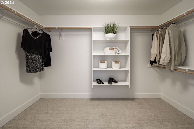 spacious closet with light colored carpet