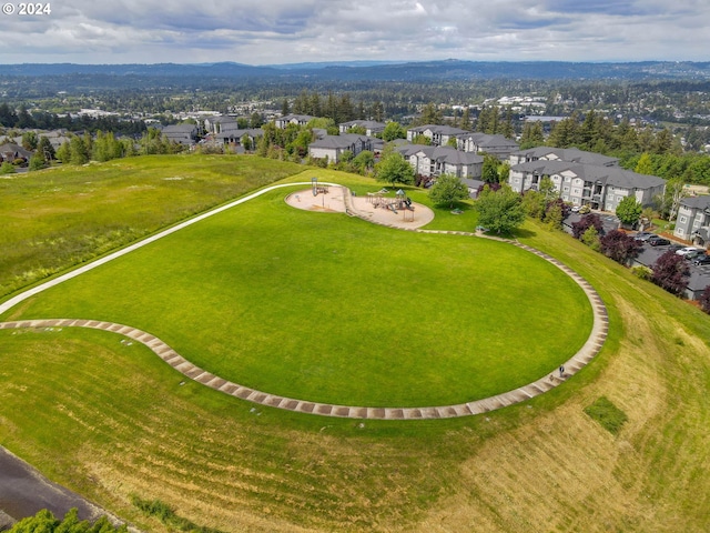 bird's eye view