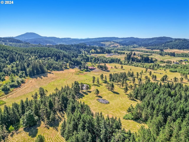 birds eye view of property with a mountain view and a rural view