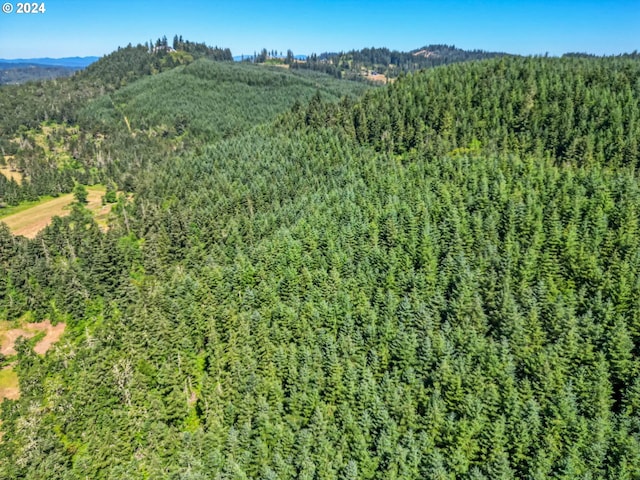 aerial view with a mountain view