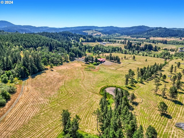 birds eye view of property with a mountain view and a rural view