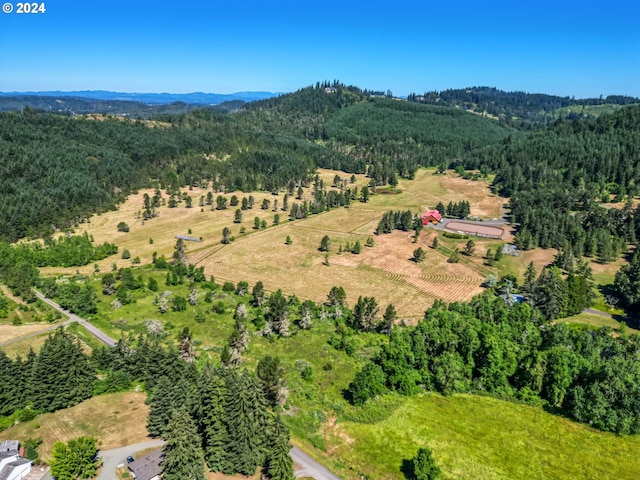 drone / aerial view featuring a rural view