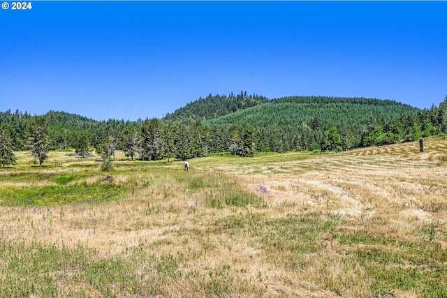 view of mountain feature featuring a rural view