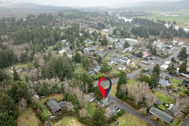 bird's eye view with a forest view