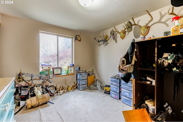 miscellaneous room with light colored carpet and a textured ceiling