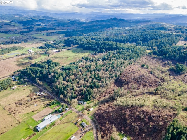 drone / aerial view featuring a mountain view