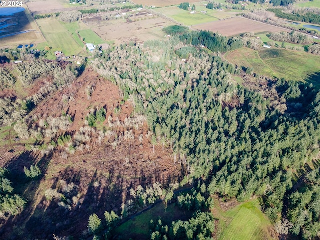 birds eye view of property with a rural view