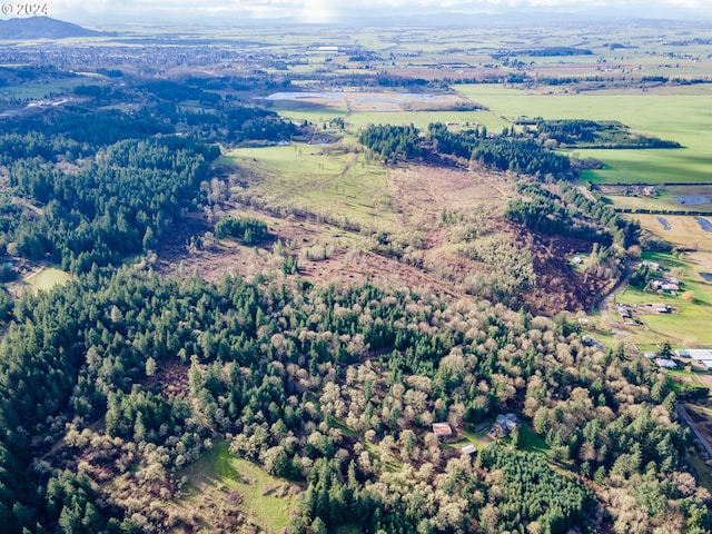 view of birds eye view of property