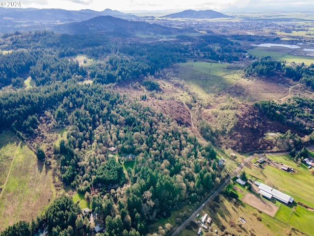 birds eye view of property featuring a mountain view